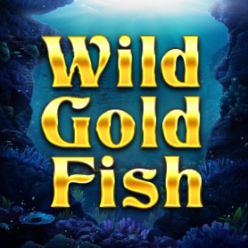 Wild Gold Fish